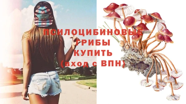прущая мука Абаза